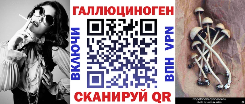 дарнет шоп  Велиж  Галлюциногенные грибы MAGIC MUSHROOMS 